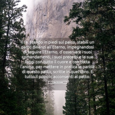 Picture 05 - 2 Re 23:3 RIV - Il re, stando in piedi sul palco, stabilì un - Bible Verse Picture