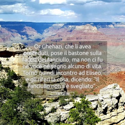 Picture 05 - 2 Re 4:31 RIV - Or Ghehazi, che li avea preceduti, pose il - Bible Verse Picture