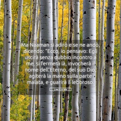 Picture 05 - 2 Re 5:11 RIV - Ma Naaman si adirò e se ne andò, dicendo: - Bible Verse Picture