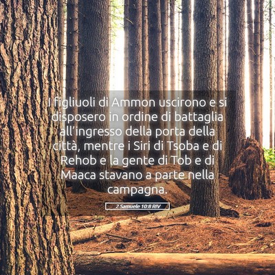 Picture 05 - 2 Samuele 10:8 RIV - I figliuoli di Ammon uscirono e si disposero in - Bible Verse Picture