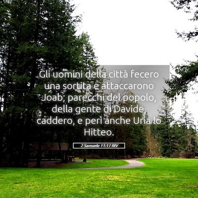 Picture 05 - 2 Samuele 11:17 RIV - Gli uomini della città fecero una sortita e - Bible Verse Picture