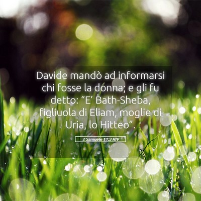 Picture 05 - 2 Samuele 11:3 RIV - Davide mandò ad informarsi chi fosse la donna; e - Bible Verse Picture