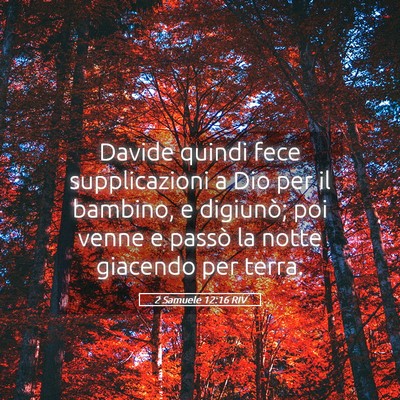 Picture 05 - 2 Samuele 12:16 RIV - Davide quindi fece supplicazioni a Dio per il - Bible Verse Picture