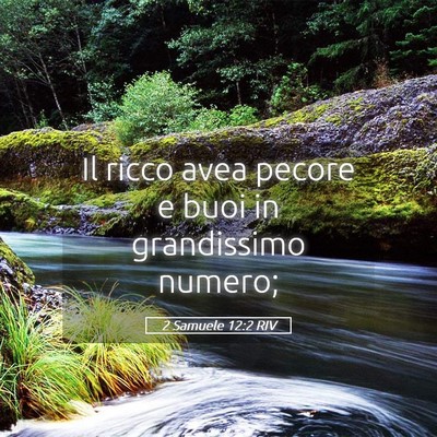 Picture 05 - 2 Samuele 12:2 RIV - Il ricco avea pecore e buoi in grandissimo - Bible Verse Picture