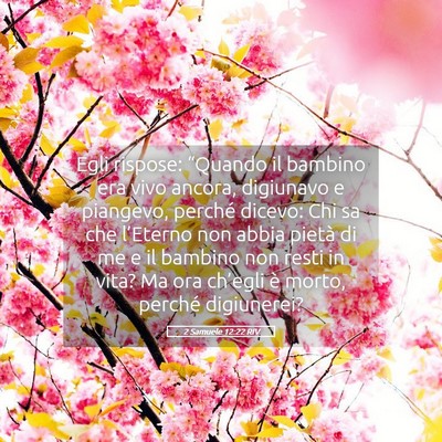 Picture 05 - 2 Samuele 12:22 RIV - Egli rispose: “Quando il bambino era vivo - Bible Verse Picture