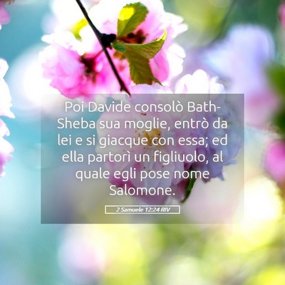 Picture 05 - 2 Samuele 12:24 RIV - Poi Davide consolò Bath-Sheba sua moglie, entrò - Bible Verse Picture