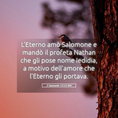 Picture 05 - 2 Samuele 12:25 RIV - L’Eterno amò Salomone e mandò il profeta - Bible Verse Picture