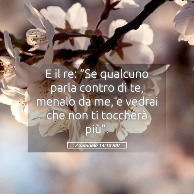 Picture 05 - 2 Samuele 14:10 RIV - E il re: “Se qualcuno parla contro di te, - Bible Verse Picture