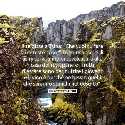 Picture 05 - 2 Samuele 16:2 RIV - Il re disse a Tsiba: “Che vuoi tu fare di - Bible Verse Picture