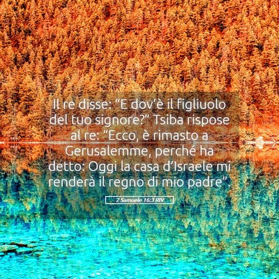 Picture 05 - 2 Samuele 16:3 RIV - Il re disse: “E dov’è il figliuolo del tuo - Bible Verse Picture
