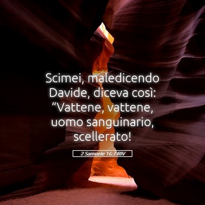 Picture 05 - 2 Samuele 16:7 RIV - Scimei, maledicendo Davide, diceva così: - Bible Verse Picture