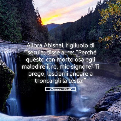 Picture 05 - 2 Samuele 16:9 RIV - Allora Abishai, figliuolo di Tseruia, disse al - Bible Verse Picture