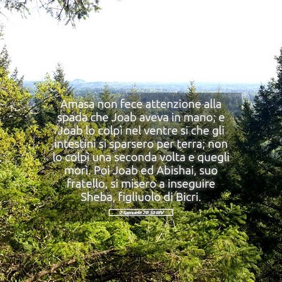 Picture 05 - 2 Samuele 20:10 RIV - Amasa non fece attenzione alla spada che Joab - Bible Verse Picture