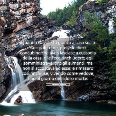 Picture 05 - 2 Samuele 20:3 RIV - Quando Davide fu giunto a casa sua a Gerusalemme, - Bible Verse Picture
