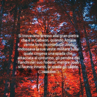Picture 05 - 2 Samuele 20:8 RIV - Si trovavano presso alla gran pietra che è in - Bible Verse Picture