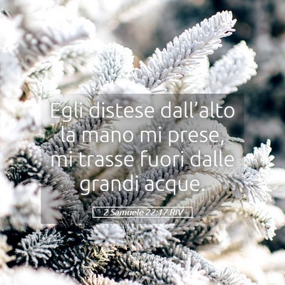 Picture 05 - 2 Samuele 22:17 RIV - Egli distese dall’alto la mano mi prese, mi - Bible Verse Picture