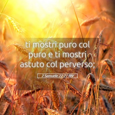 Picture 05 - 2 Samuele 22:27 RIV - ti mostri puro col puro e ti mostri astuto col - Bible Verse Picture