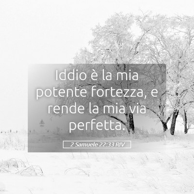 Picture 05 - 2 Samuele 22:33 RIV - Iddio è la mia potente fortezza, e rende la mia - Bible Verse Picture