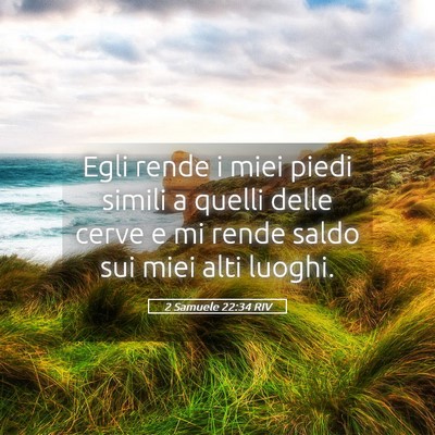 Picture 05 - 2 Samuele 22:34 RIV - Egli rende i miei piedi simili a quelli delle - Bible Verse Picture