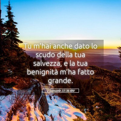 Picture 05 - 2 Samuele 22:36 RIV - Tu m’hai anche dato lo scudo della tua - Bible Verse Picture