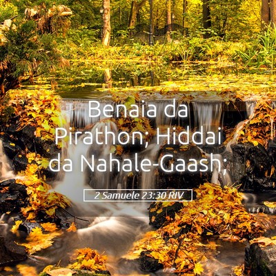 Picture 05 - 2 Samuele 23:30 RIV - Benaia da Pirathon; Hiddai da - Bible Verse Picture