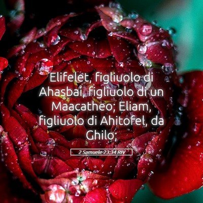 Picture 05 - 2 Samuele 23:34 RIV - Elifelet, figliuolo di Ahasbai, figliuolo di un - Bible Verse Picture