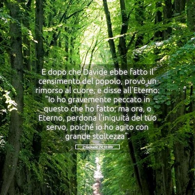 Picture 05 - 2 Samuele 24:10 RIV - E dopo che Davide ebbe fatto il censimento del - Bible Verse Picture