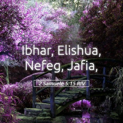 Picture 05 - 2 Samuele 5:15 RIV - Ibhar, Elishua, Nefeg, - Bible Verse Picture