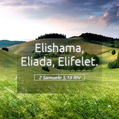 Picture 05 - 2 Samuele 5:16 RIV - Elishama, Eliada, - Bible Verse Picture