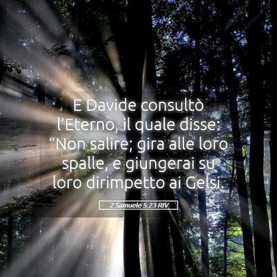 Picture 05 - 2 Samuele 5:23 RIV - E Davide consultò l’Eterno, il quale disse: - Bible Verse Picture