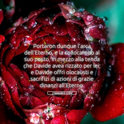 Picture 05 - 2 Samuele 6:17 RIV - Portaron dunque l’arca dell’Eterno, e la - Bible Verse Picture