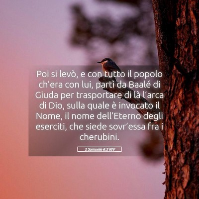 Picture 05 - 2 Samuele 6:2 RIV - Poi si levò, e con tutto il popolo ch’era con - Bible Verse Picture