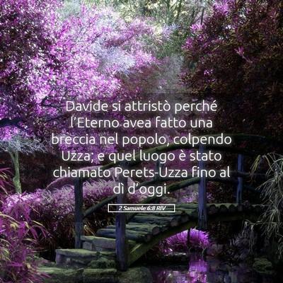 Picture 05 - 2 Samuele 6:8 RIV - Davide si attristò perché l’Eterno avea fatto - Bible Verse Picture