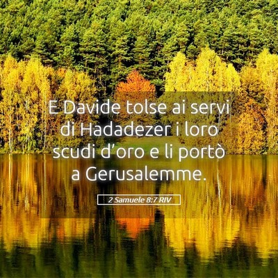 Picture 05 - 2 Samuele 8:7 RIV - E Davide tolse ai servi di Hadadezer i loro scudi - Bible Verse Picture