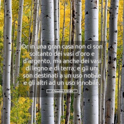 Picture 05 - 2 Timoteo 2:20 RIV - Or in una gran casa non ci son soltanto dei vasi - Bible Verse Picture