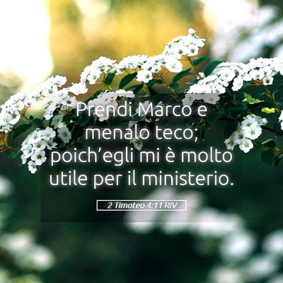 Picture 05 - 2 Timoteo 4:11 RIV - Prendi Marco e menalo teco; poich’egli mi è - Bible Verse Picture
