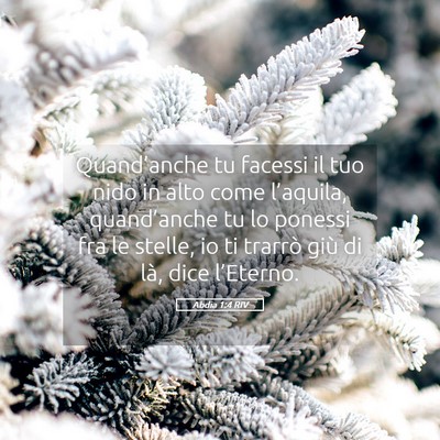Picture 05 - Abdia 1:4 RIV - Quand’anche tu facessi il tuo nido in alto come - Bible Verse Picture