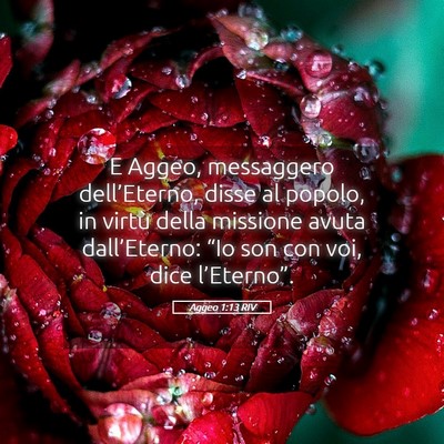 Picture 05 - Aggeo 1:13 RIV - E Aggeo, messaggero dell’Eterno, disse al - Bible Verse Picture