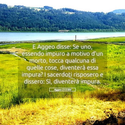 Picture 05 - Aggeo 2:13 RIV - E Aggeo disse: Se uno, essendo impuro a motivo - Bible Verse Picture