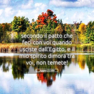 Picture 05 - Aggeo 2:5 RIV - secondo il patto che feci con voi quando usciste - Bible Verse Picture