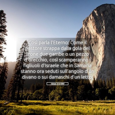 Picture 05 - Amos 3:12 RIV - Così parla l’Eterno: Come il pastore strappa - Bible Verse Picture