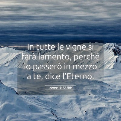 Picture 05 - Amos 5:17 RIV - In tutte le vigne si farà lamento, perché io - Bible Verse Picture
