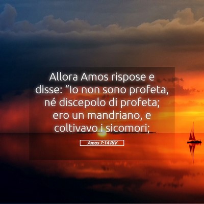 Picture 05 - Amos 7:14 RIV - Allora Amos rispose e disse: “Io non sono - Bible Verse Picture