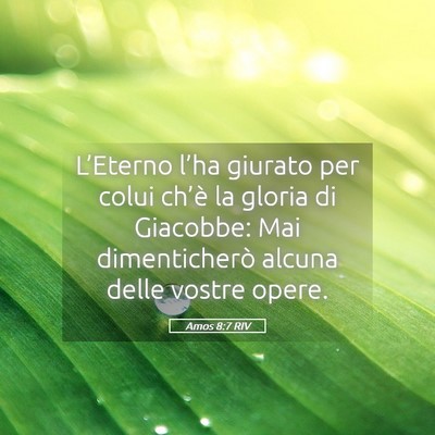Picture 05 - Amos 8:7 RIV - L’Eterno l’ha giurato per colui ch’è la - Bible Verse Picture