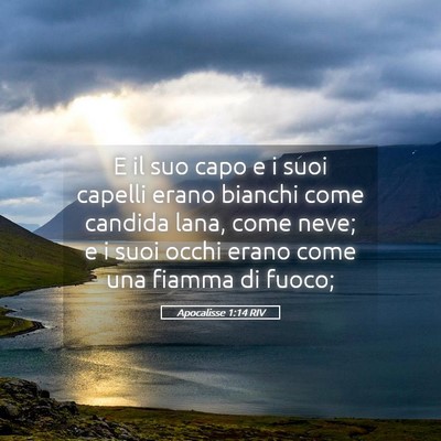 Picture 05 - Apocalisse 1:14 RIV - E il suo capo e i suoi capelli erano bianchi come - Bible Verse Picture