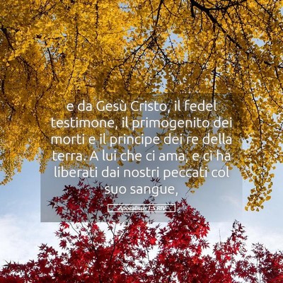 Picture 05 - Apocalisse 1:5 RIV - e da Gesù Cristo, il fedel testimone, il - Bible Verse Picture