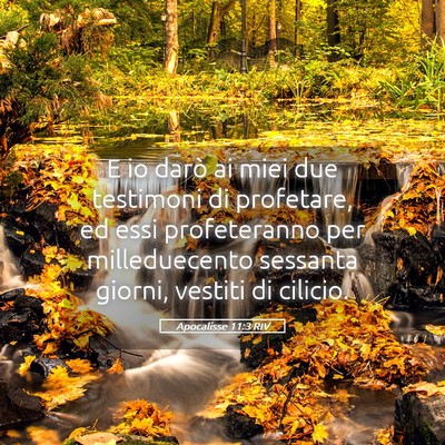 Picture 05 - Apocalisse 11:3 RIV - E io darò ai miei due testimoni di profetare, ed - Bible Verse Picture