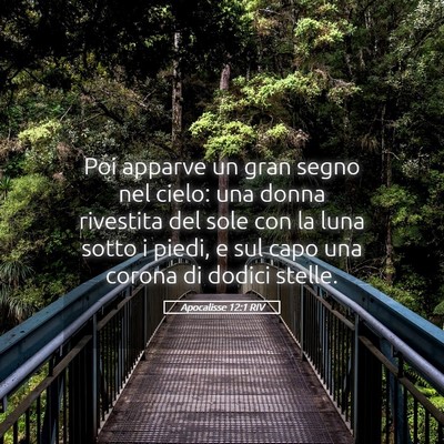 Picture 05 - Apocalisse 12:1 RIV - Poi apparve un gran segno nel cielo: una donna - Bible Verse Picture