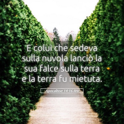 Picture 05 - Apocalisse 14:16 RIV - E colui che sedeva sulla nuvola lanciò la sua - Bible Verse Picture