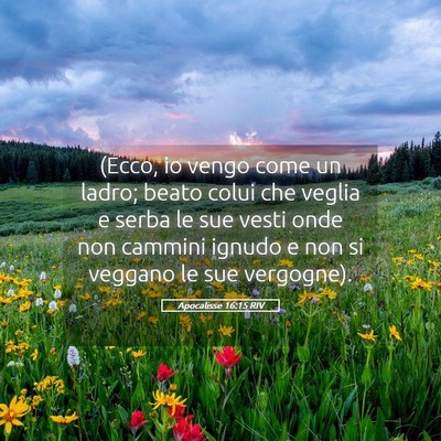 Picture 05 - Apocalisse 16:15 RIV - (Ecco, io vengo come un ladro; beato colui che - Bible Verse Picture